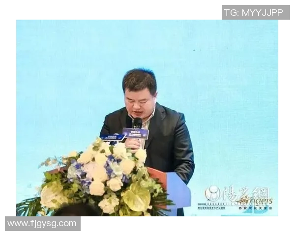 电竞解码杨磊的英雄联盟旅程与人生哲学深度探讨