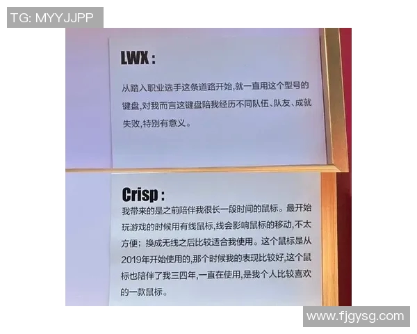 电竞新闻S15LOL高校联赛特别报道FPX战队的辉煌历程与成长之路